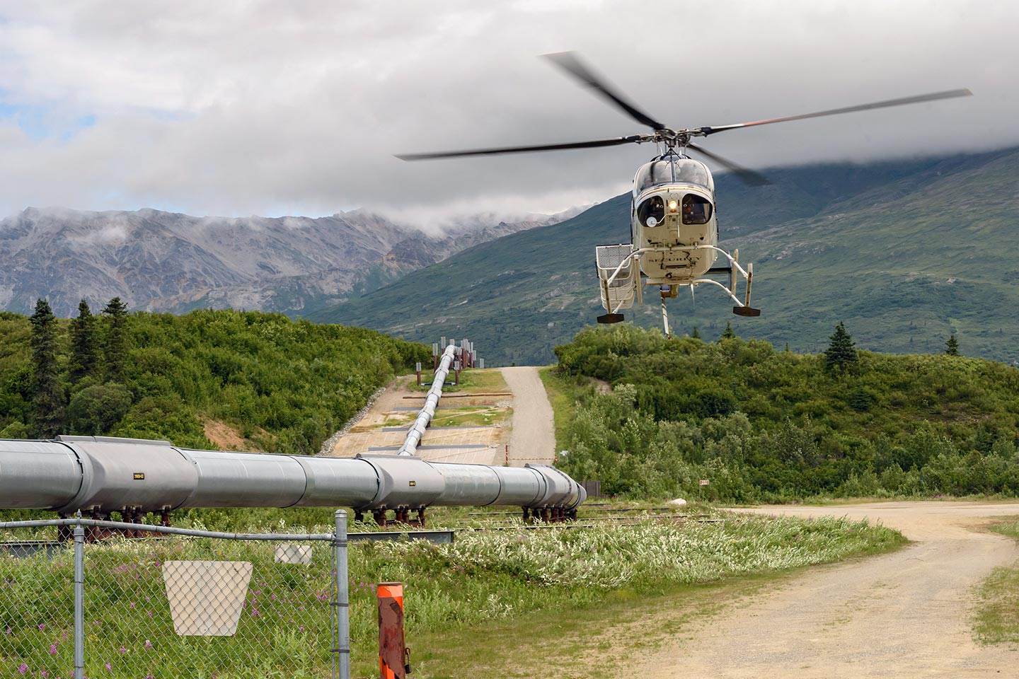 Pipeline Surveys in California